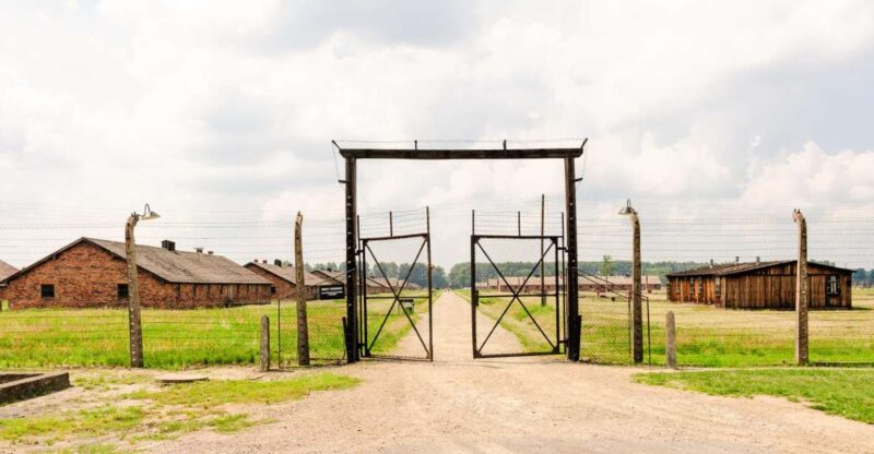 From Krakow: Auschwitz-Birkenau Tour with Transportation - Key Points