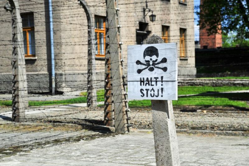 From Krakow: Auschwitz-Birkenau Tour with Transportation - The Role of Guides and Personalities