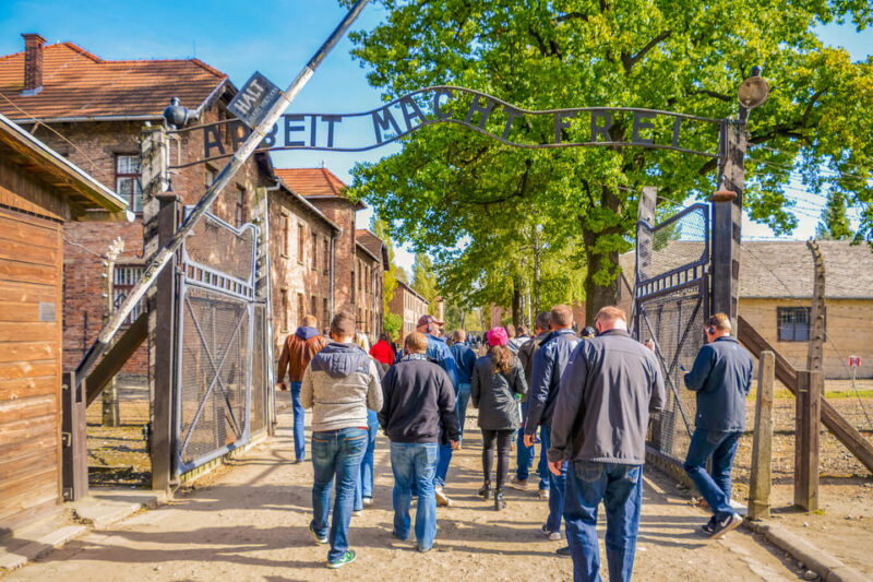 From Krakow: Auschwitz-Birkenau Tour with Transportation - Key Points