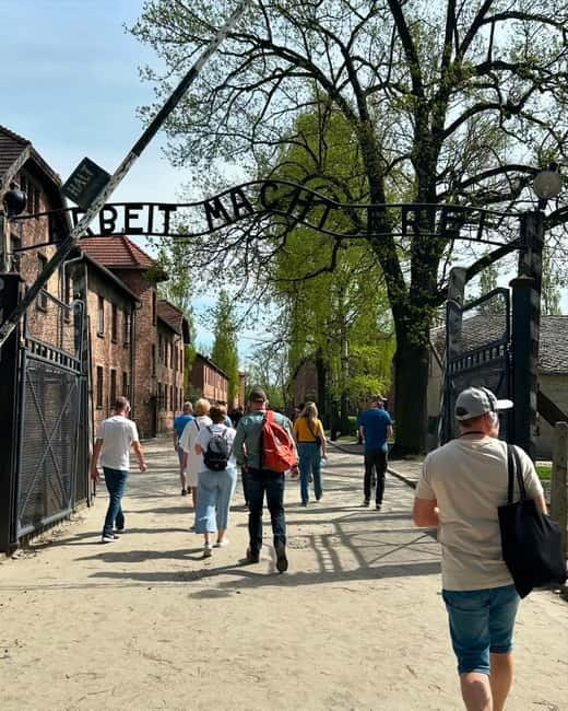 From Krakow: Auschwitz-Birkenau & Wieliczka Salt Mine Tour - Key Points