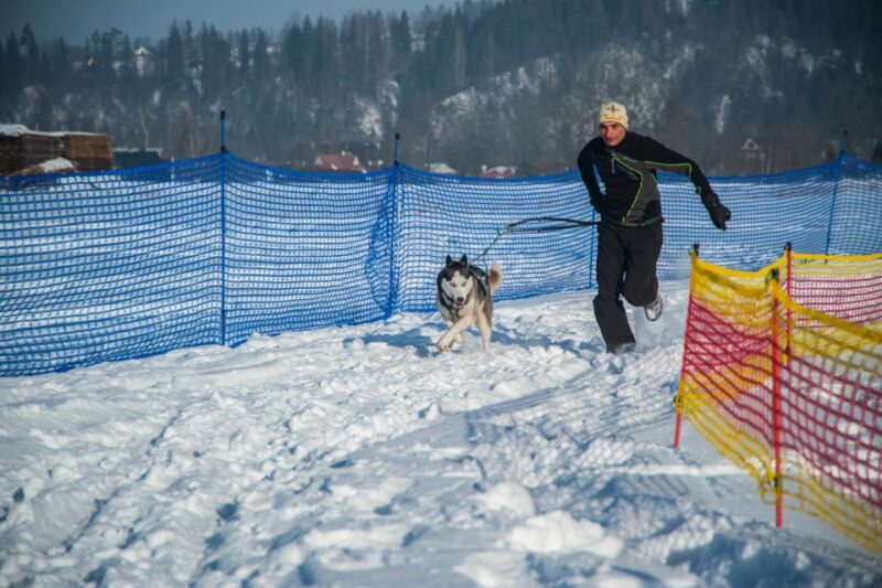 From Krakow: Dogsled Ride in Tatra Mountain - Meeting the Majestic Huskies at the Reserve