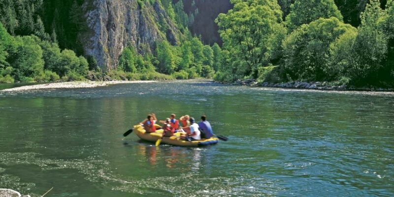From Krakow: Dunajec River Gorge Wooden Raft River Cruise - Spotting Rare Wildlife, Including the Black Stork