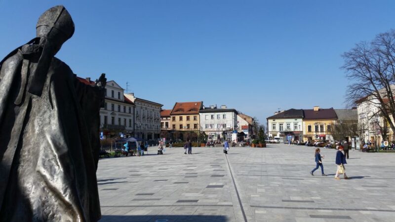 From Krakow: Full-Day Wadowice & Czestochowa Tour - Transport, Guides, and Accessibility