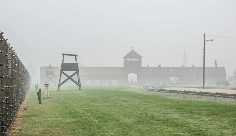 From Krakow: Last Minute Auschwitz-Birkenau Guided Tour - Birkenau: The Site of Mass Extermination and Its Emotional Impact
