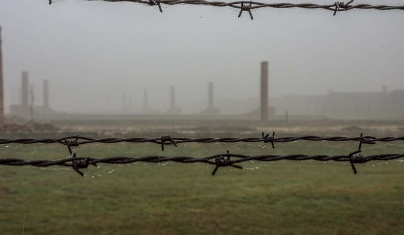 From Krakow: Last Minute Auschwitz-Birkenau Guided Tour - Who Will Appreciate This Tour Most?