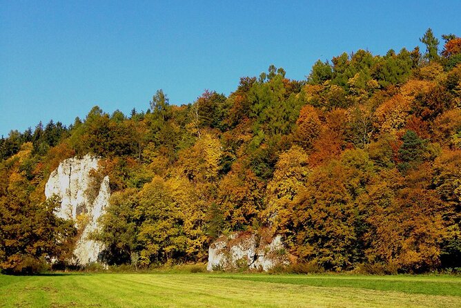 From Krakow: Ojcow National Park and Pieskowa Skala Castle - Key Points