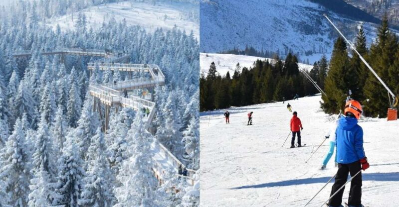 From Kraków: Slovakia Treetop Walk & 4-Hour Ski Pass - Discover Slovakia’s Tatra Region with a Treetop Walk & Skiing Adventure