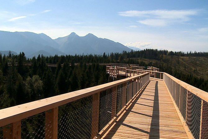 From Kraków: Slovakia Treetop Walk Bachledka and Zakopane - Scenic Journey from Kraków to the Slovakian Tatra Mountains