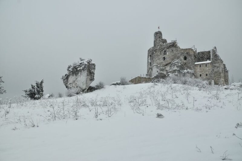 From Krakow: Trail of the Eagles Nests Day Tour - Mirów and Bobolice castles: restored and accessible