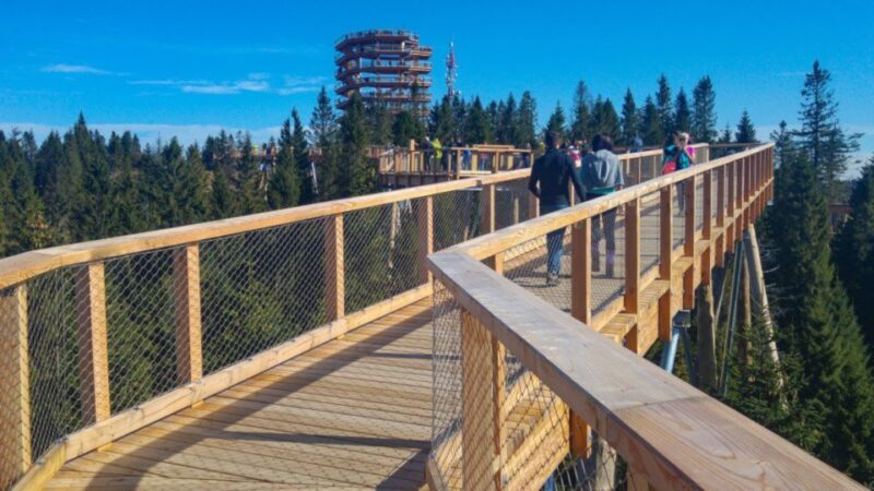 From Krakow: Treetop Walk in Slovakia and Thermal Baths Tour - Comparing Similar Experiences