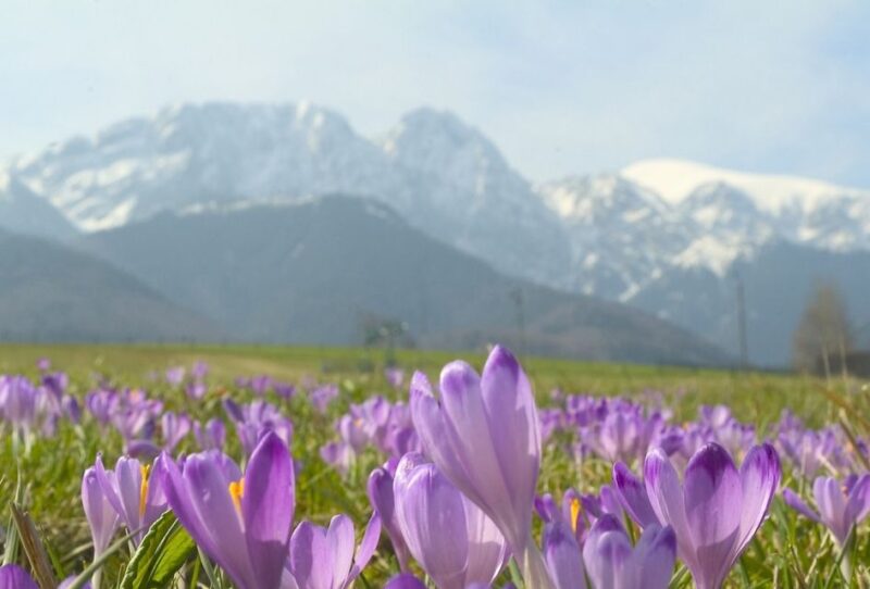 From Krakow: Zakopane and Tatras Mountains Full-Day Tour - Ascending to Mount Gubałówka by Funicular