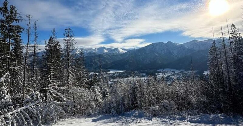 From Krakow: Zakopane Day Trip with Funicular & Food Tasting - Exploring Zakopane: The Iconic Mountain Resort from Krakow