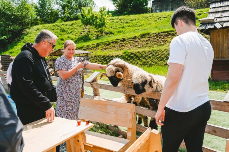 From Krakow: Zakopane, Funicular, and Hot Springs Day Trip - Discovering the Charm of Chochołów Village