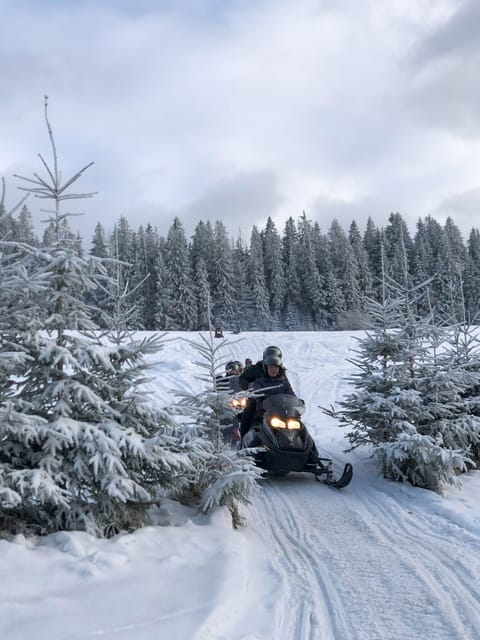 From Krakow: Zakopane Snowmobile NIGHT Ride, Bonfire, - Learning to Operate Snowmobiles Safely