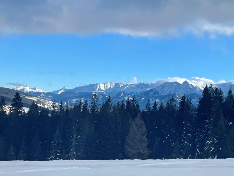 From Krakow: Zakopane Snowmobile NIGHT Ride, Bonfire, - Cozy Campfire and Regional Tastes