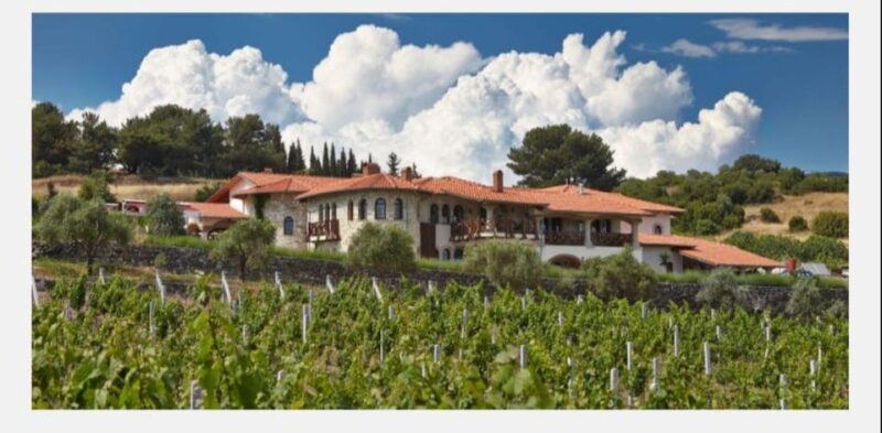 From Kuadas: Private Ephesus and Wine Tasting Tour - How This Tour Stands Out