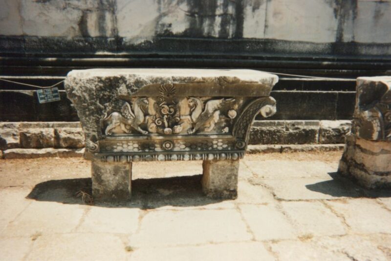 From Kusadas: Priene, Miletus, and Didyma Tour - Additional Costs and Considerations