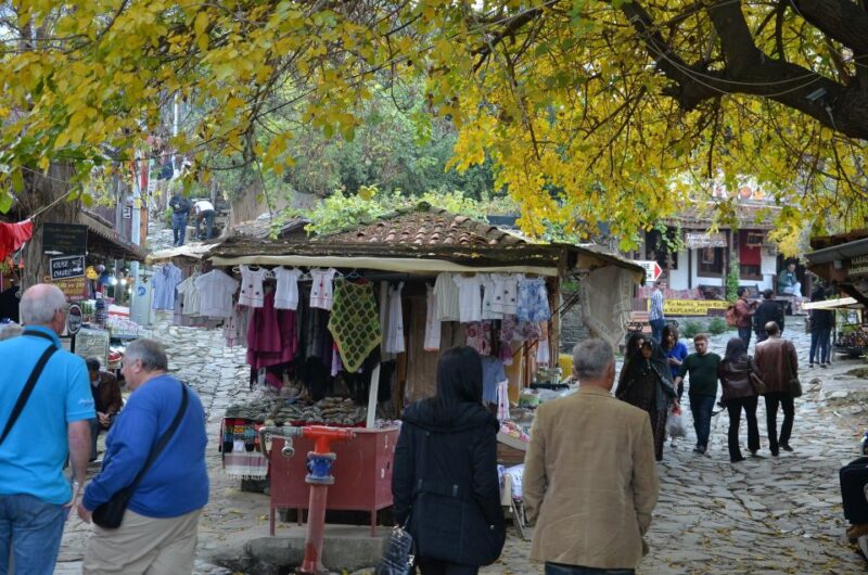 From Kusadasi: Sirince Village and Ephesus Tour - Explore the Unique Charm of Sirince Village and Ephesus in One Tour