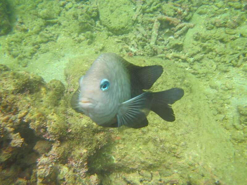 From La Crucecita: Private Huatulco 7 or 5 Bays Boat Trip - Highlights from Reviews