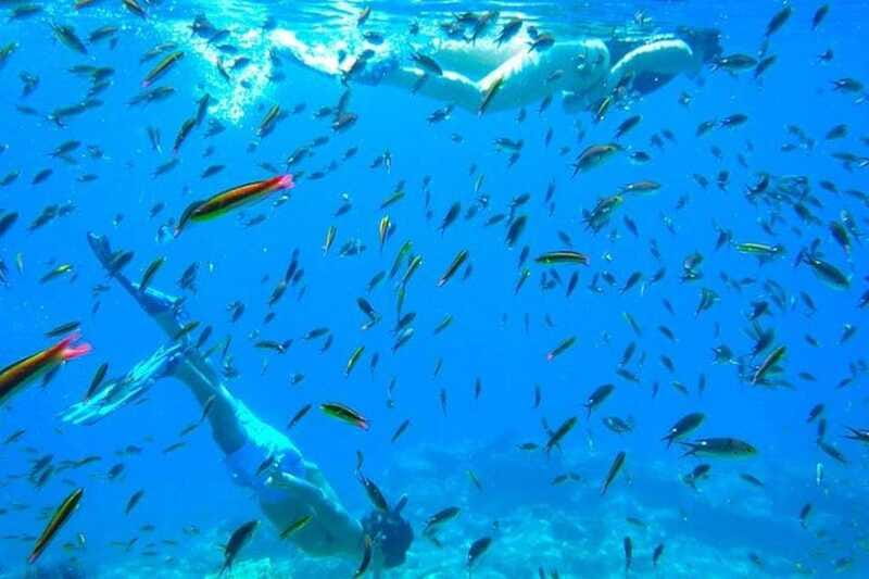 From La Paz: Espiritu Santo Island Adventure - Dining on a Delicious and Varied Lunch