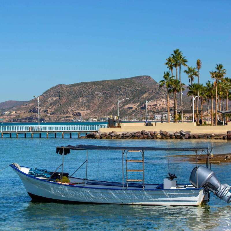 From La Paz: Espíritu Santo Island Tour all inclusive - Snorkeling with Sea Lions and Marine Life Encounters