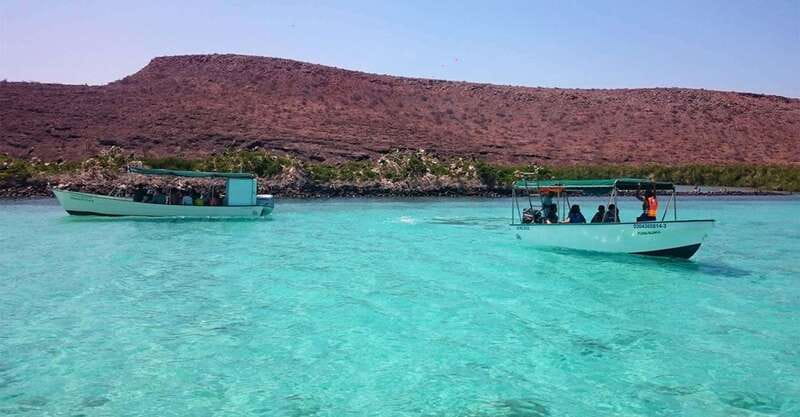 From La Paz: Espíritu Santo Island Tour all inclusive - Learning About Marine Conservation from Experts