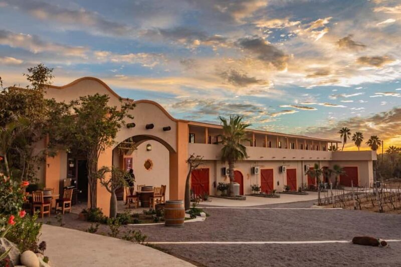 From La Playa: Vineyard Tour w/ Tasting & Todos Santos Stop - Discover the Charm of Baja California Sur’s Boutique Vineyard and Town Stop