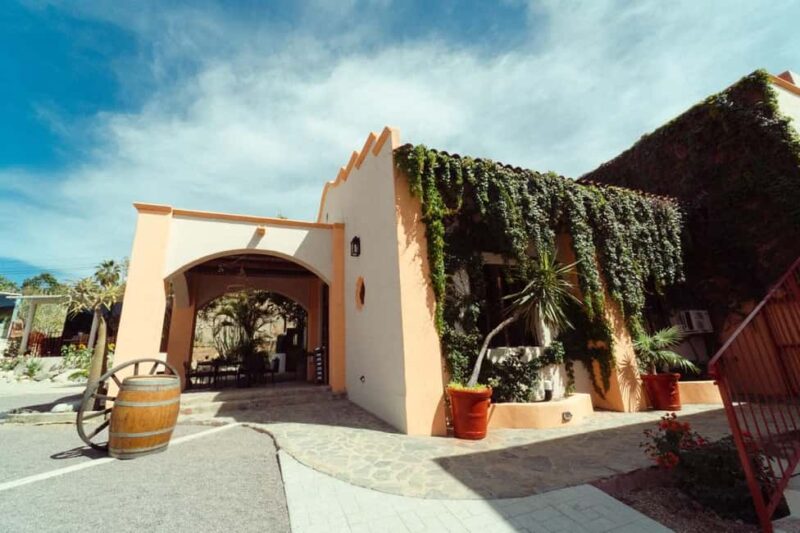From La Playa: Vineyard Tour w/ Tasting & Todos Santos Stop - Key Points