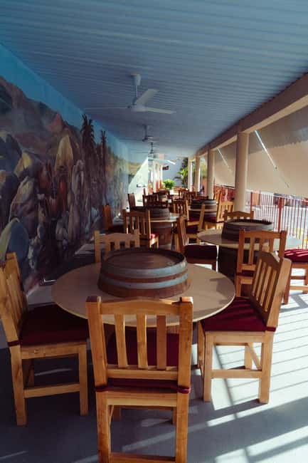 From La Playa: Vineyard Tour w/ Tasting & Todos Santos Stop - Savor a Guided Tasting of 34 Regional Labels