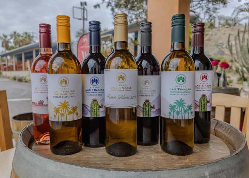 From La Playa: Vineyard Tour w/ Tasting & Todos Santos Stop - Exploring Todos Santos: Art, Coffee, and Culture