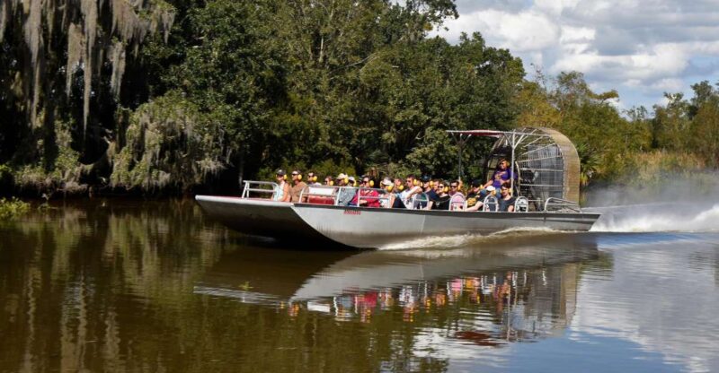 From Lafitte: Swamp Tours South of New Orleans by Airboat - What to Expect on the Airboat Tour