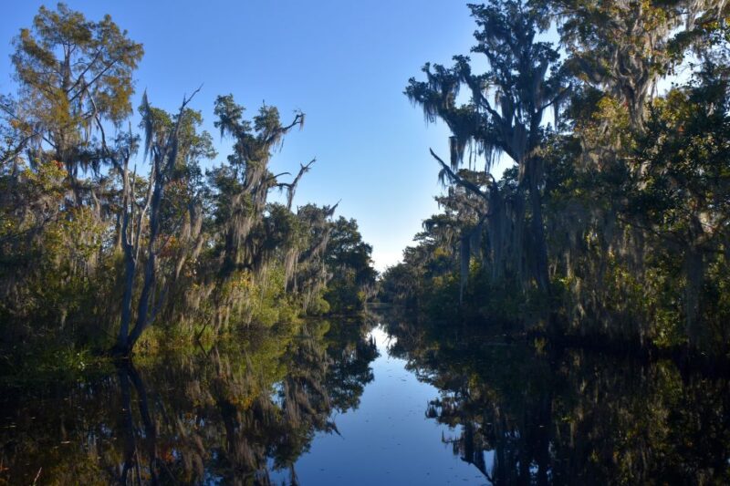 From Lafitte: Swamp Tours South of New Orleans by Airboat - Practical Tips for a Smooth Trip