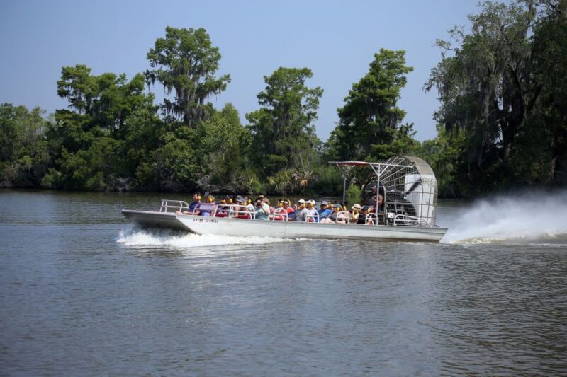 From Lafitte: Swamp Tours South of New Orleans by Airboat - The Overall Value of the Lafitte Airboat Tour