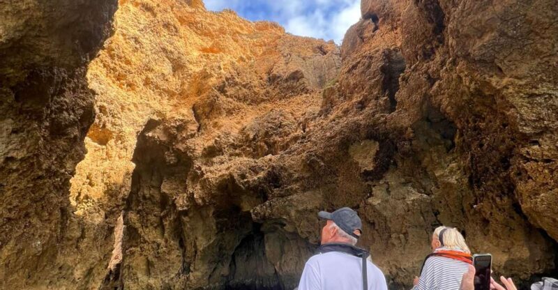 From Lagoa: Dolphins & Ponta da Piedade with biologist guide - Swimming in Crystalline Algarve Waters