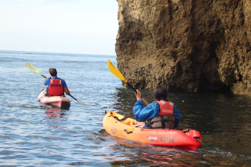 From Lagos: Algarve Coast and Caves by Kayak - The 2.5-Hour Duration and Flexible Timing