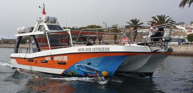 From Lagos: Benagil Caves Catamaran Cruise - Inside the Stunning Benagil Sea Cave