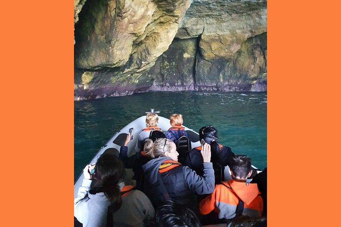 From Lagos: Benagil Caves Tour by Speed Boat with Guide - Who Will Enjoy This Tour Most?