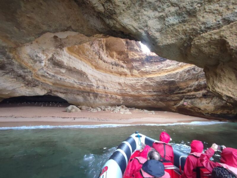 From Lagos: Benagil Sea Caves Tour with a Local Guide - Exploring the Magnificent Benagil Sea Caves