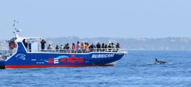 From Lagos: Benagil Sea Caves Tour with a Local Guide - What’s Included and What to Bring