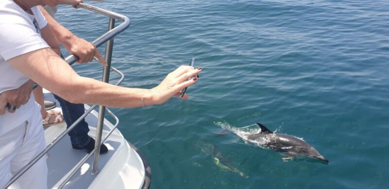 From Lagos: Dolphin Watching Catamaran Cruise - Pricing, Cancellation, and Booking Flexibility