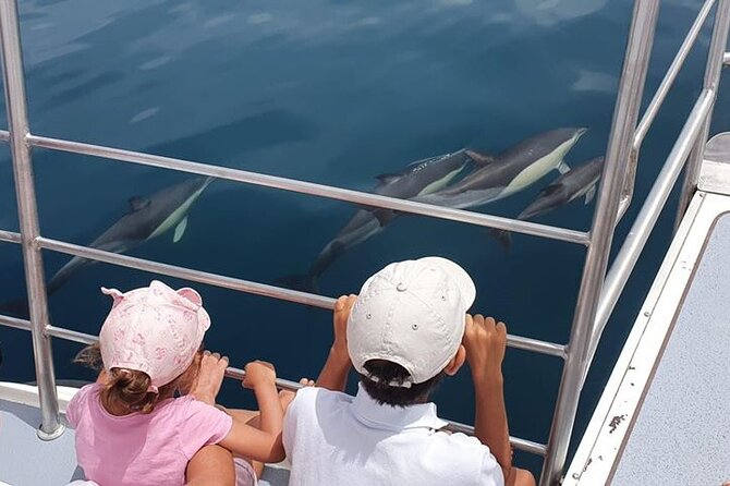 From Lagos: Dolphin Watching Cruise on a Catamaran - Discover the Perfect Dolphin Watching Adventure in Lagos for Just $39.39