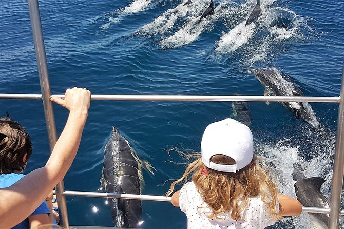 From Lagos: Dolphin Watching Cruise on a Catamaran - Key Points