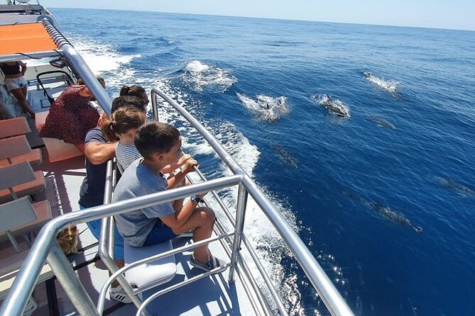 From Lagos: Dolphin Watching Cruise on a Catamaran - Safety and Weather Considerations