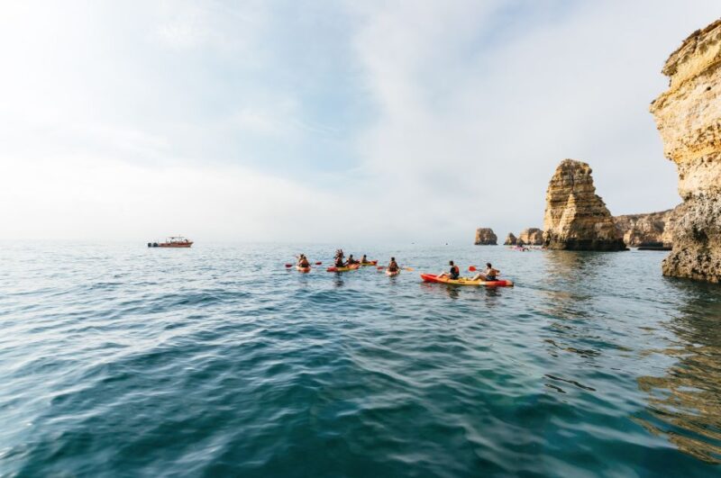 From Lagos: Explore Ponta da Piedade Sea Caves by Kayak - Safety and Comfort During the Kayak Exploration