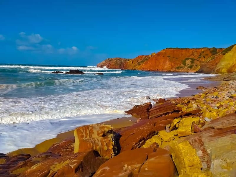 From Lagos: Half-Day West Coast Minivan Tour - Why This Tour Stands Out