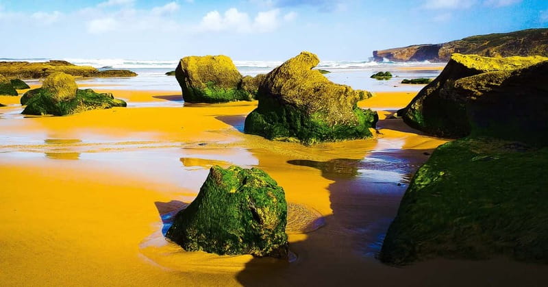 From Lagos: Half-Day West Coast Minivan Tour - Final Thoughts on the Lagos West Coast Tour