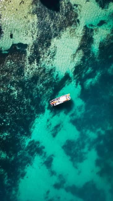 From Lagos: Ponta da Piedade Caves Kayak Tour from Catamaran - Discover the Ponta da Piedade Caves Kayak Tour from Lagos on a Catamaran