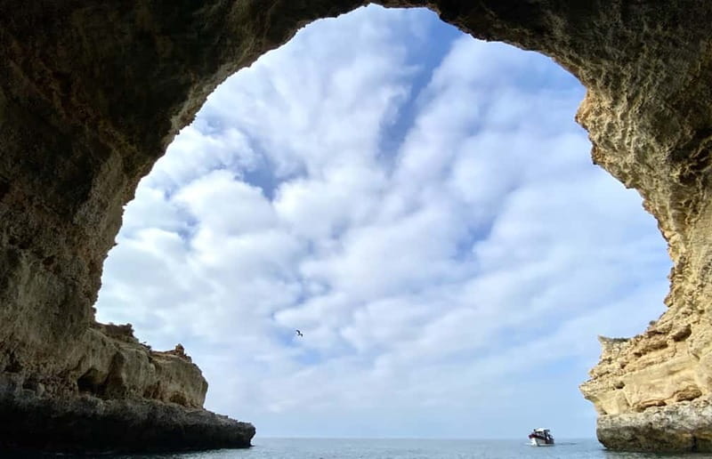 From Lagos: Scenic Cruise to the Benagil and Carvoeiro Caves - The Value and Overall Impression of the Tour