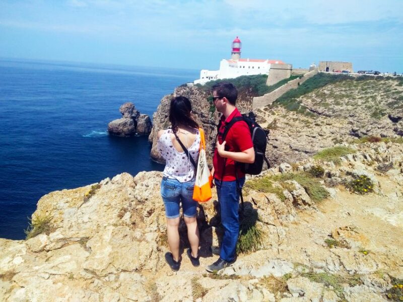 From Lagos: Wild and Wonderful West Coast Full-Day Tour - An In-Depth Look at the Wild and Wonderful West Coast Full-Day Tour from Lagos