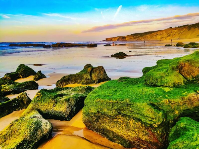 From Lagos: Wild and Wonderful West Coast Full-Day Tour - The Marvel of St. Vincent Cape